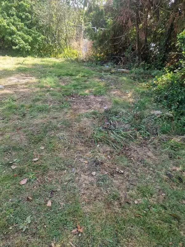 Garden Rubbish Cleared